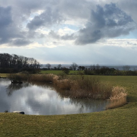 Udsigten fra kursuslokalet